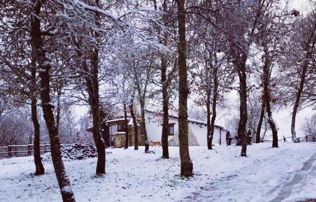 Ovostolai Cottage Fonni Buitenkant foto