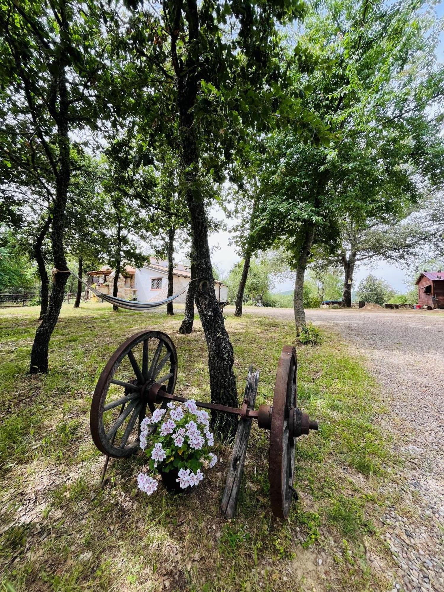 Ovostolai Cottage Fonni Buitenkant foto